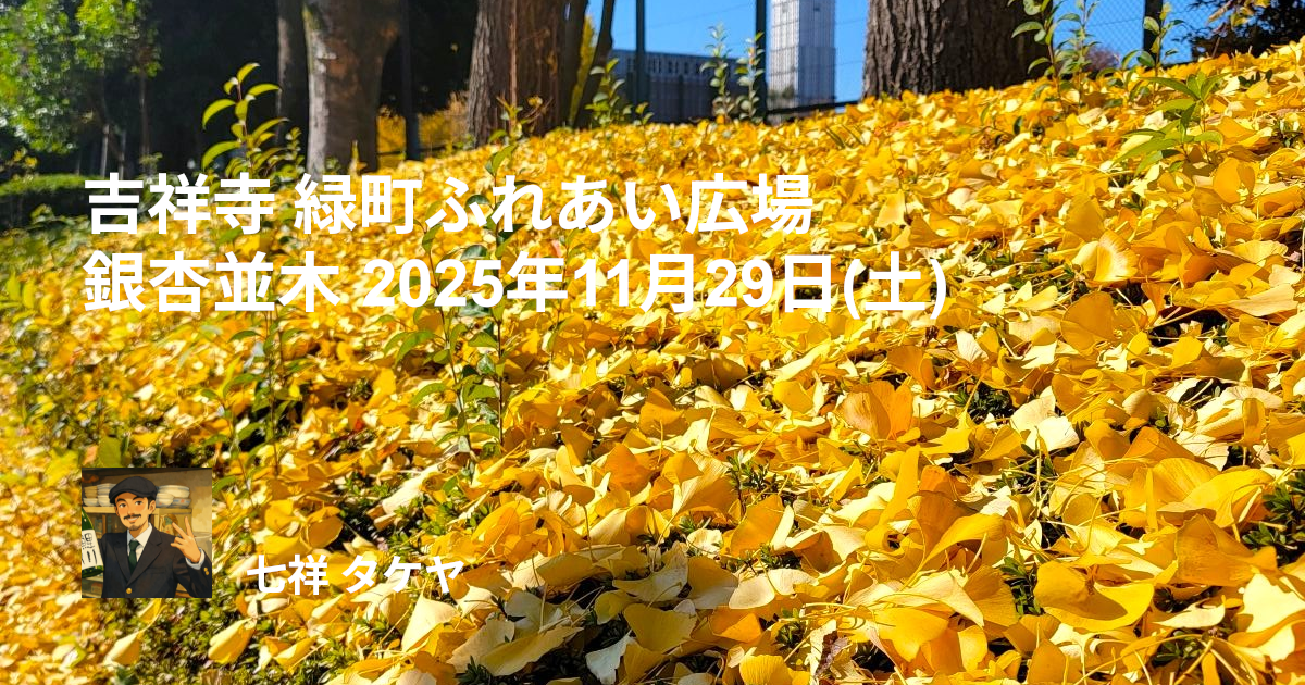 吉祥寺 緑町ふれあい広場 銀杏並木 2025年11月29日(土)