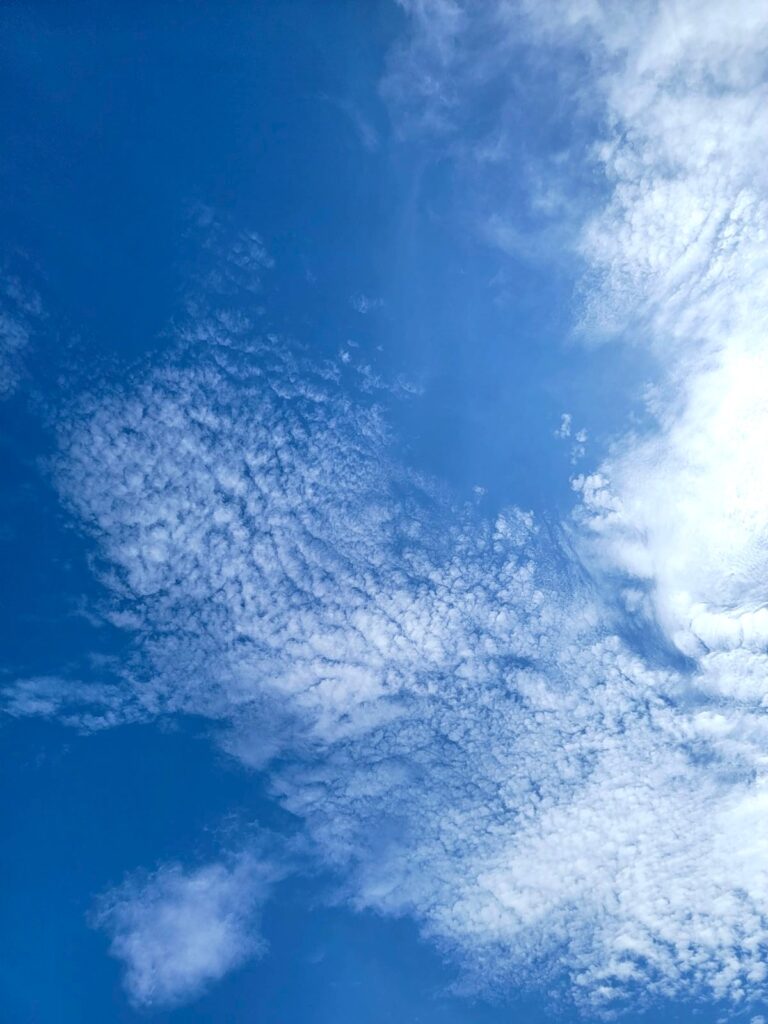 中野 中野区立紅葉山公園 うろこ雲 2025年9月28日(日)