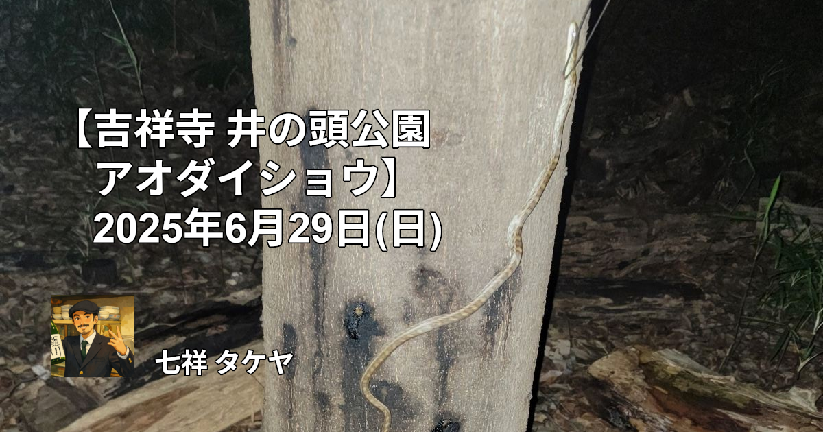 【吉祥寺 井の頭公園 アオダイショウ】2025年6月29日(日)
