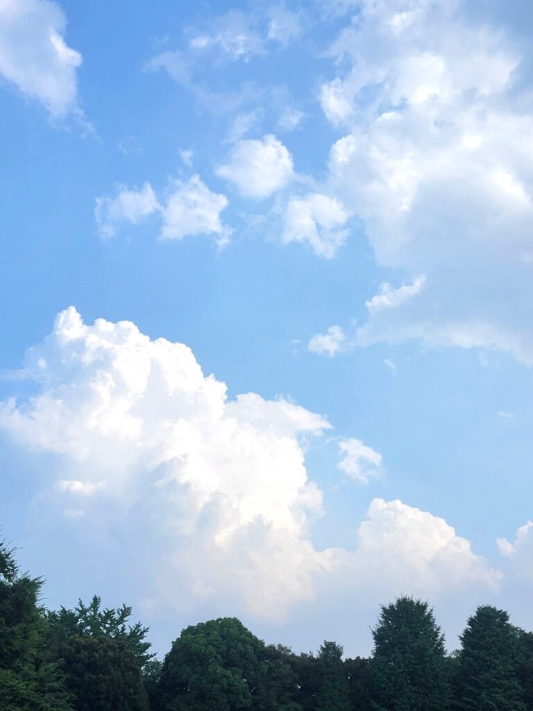積乱雲を眺めながら夏を感じています